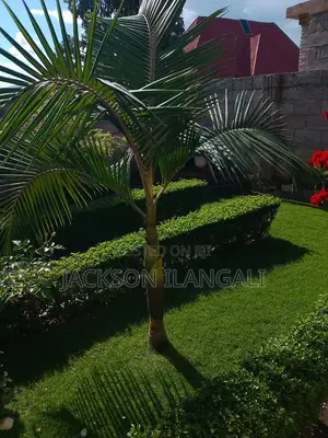Furnished 3bdrm House in Mwakibete for rent