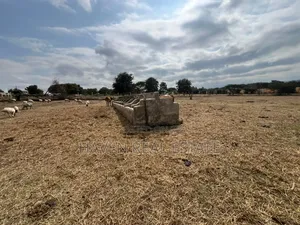 Premium Investment Opportunity in Arusha-Mateves