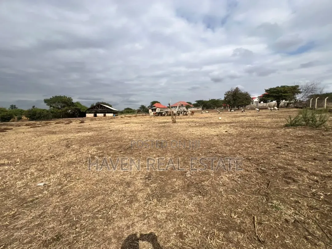 Premium Investment Opportunity in Arusha-Mateves