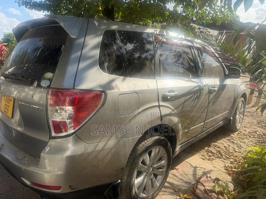 Subaru Forester 2009 Gray