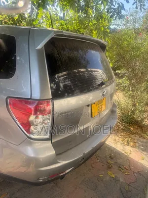 Subaru Forester 2009 Gray