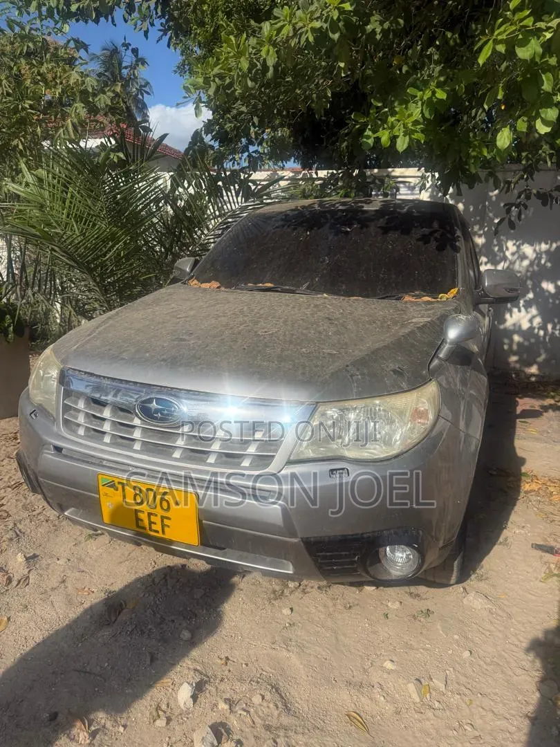 Subaru Forester 2009 Gray