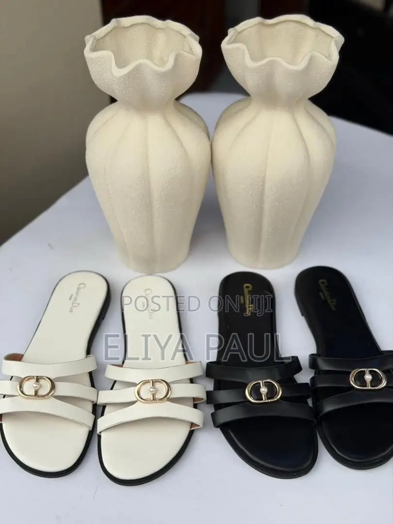 Christian Dior Slide