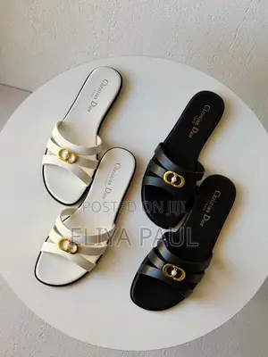 Christian Dior Slide
