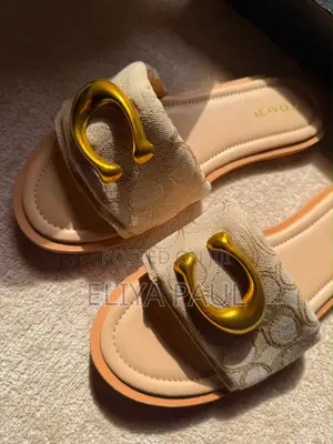 Coach Slide C Buckle