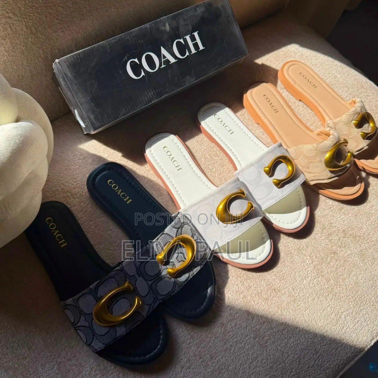 Coach Slide C Buckle