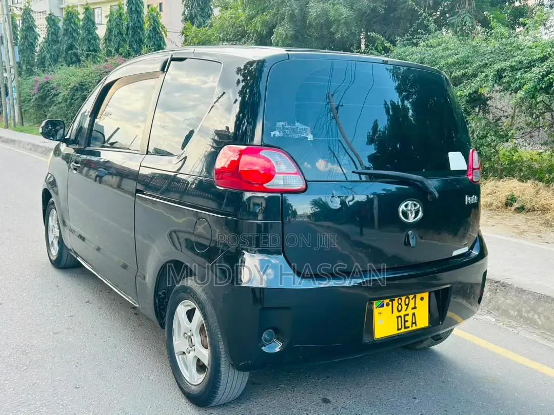 Toyota Porte 2007 Black