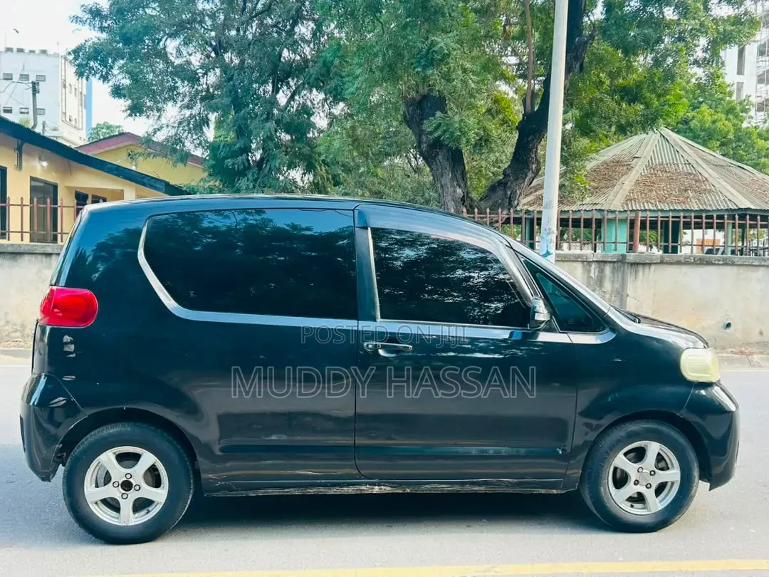 Toyota Porte 2007 Black
