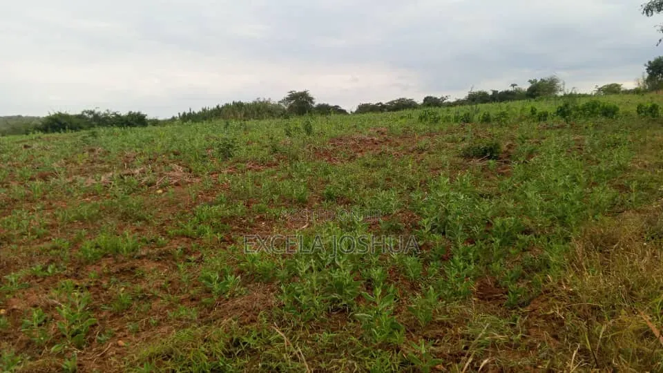 Shamba Zuri Sana Linauzwa Mbewe Wilaya Ya Chalinze