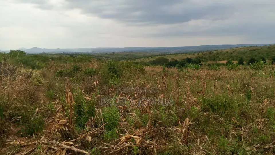 Shamba Zuri Sana Linauzwa Mbewe Wilaya Ya Chalinze