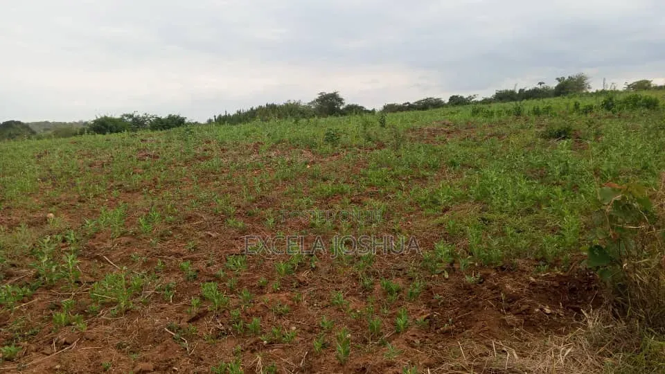 Shamba Zuri Sana Linauzwa Mbewe Wilaya Ya Chalinze