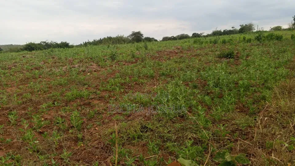 Shamba Zuri Sana Linauzwa Mbewe Wilaya Ya Chalinze