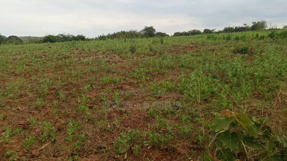 Shamba Zuri Sana Linauzwa Mbewe Wilaya Ya Chalinze