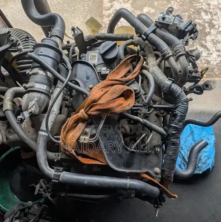Yd25 Nissan Navara
