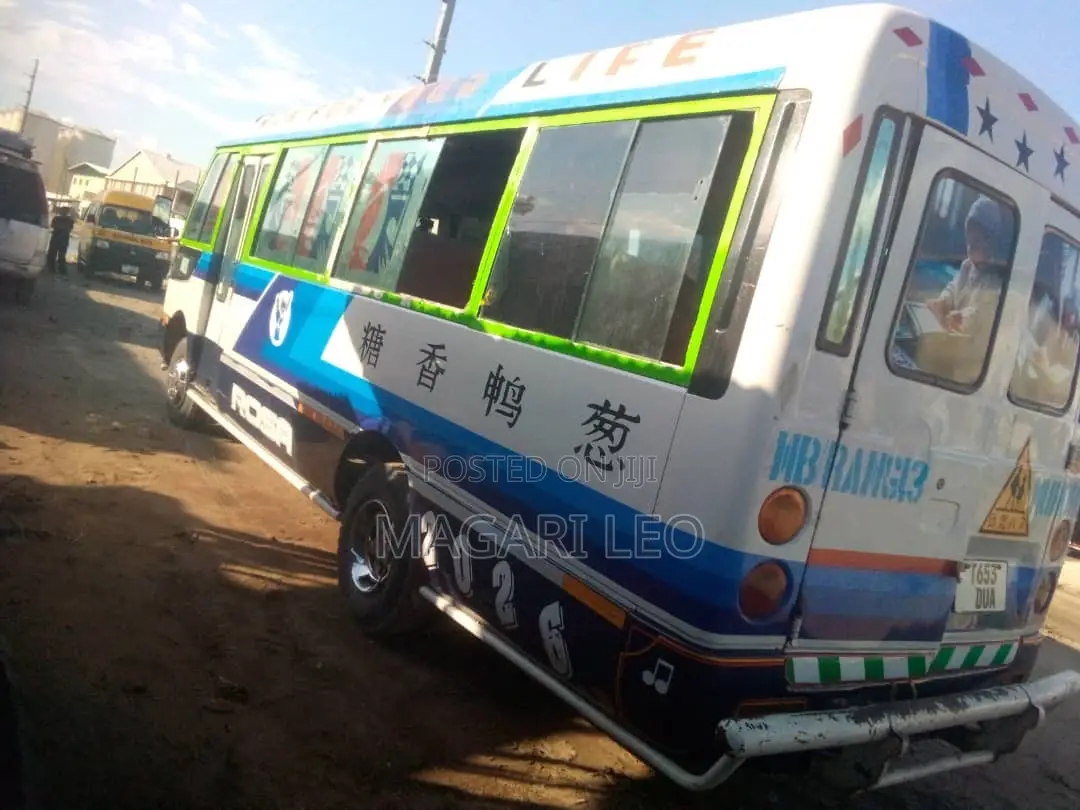 Mitsubishi Fuso Rosa 2004 White