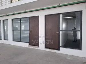 Flush Doors