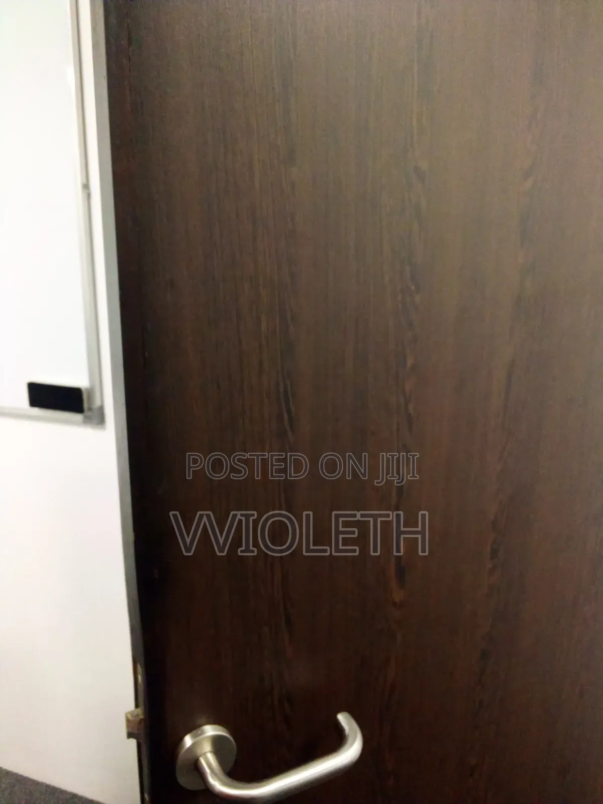 Flush Doors