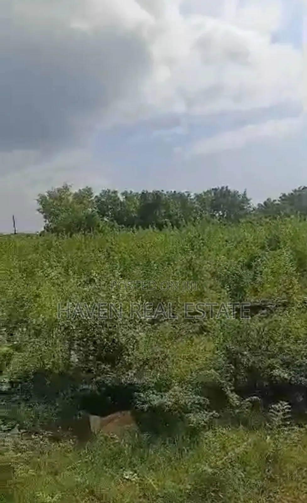 Plot for Sale at Nungwi Zanzibar