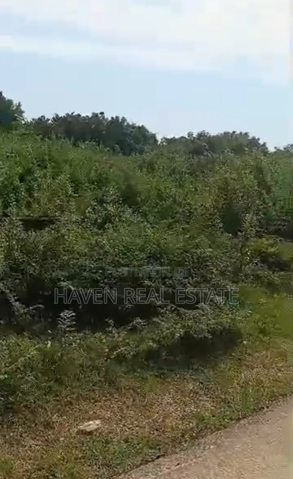 Plot for Sale at Nungwi Zanzibar