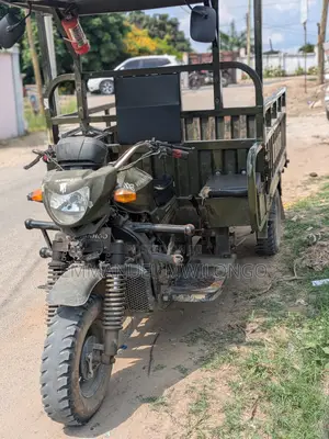 Tricycle 2025 Green
