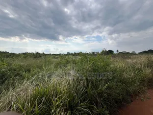 *Premium Plot: 30 Acres in Kisarawe at an Unbeatable Price!*
