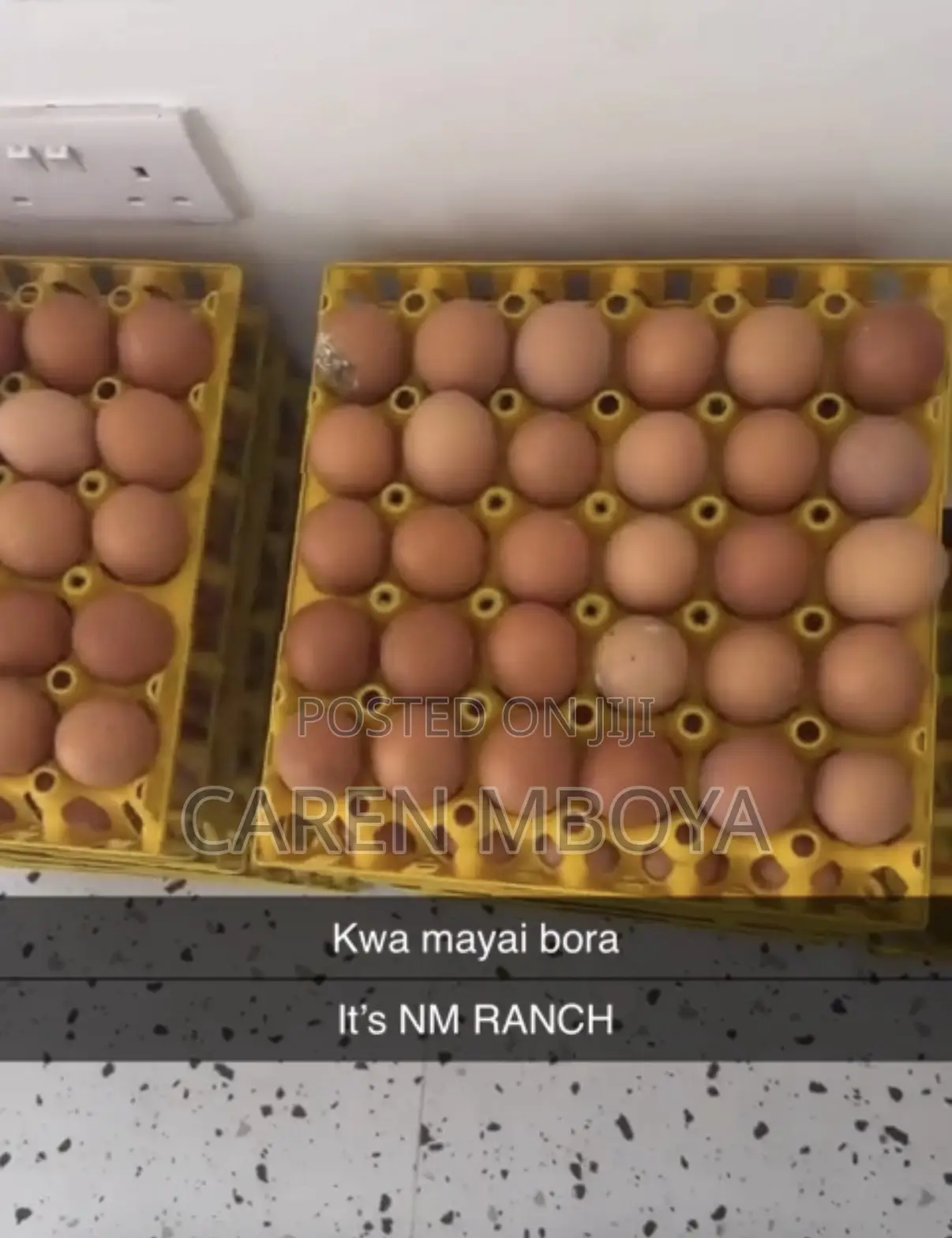 NM Ranch Farm