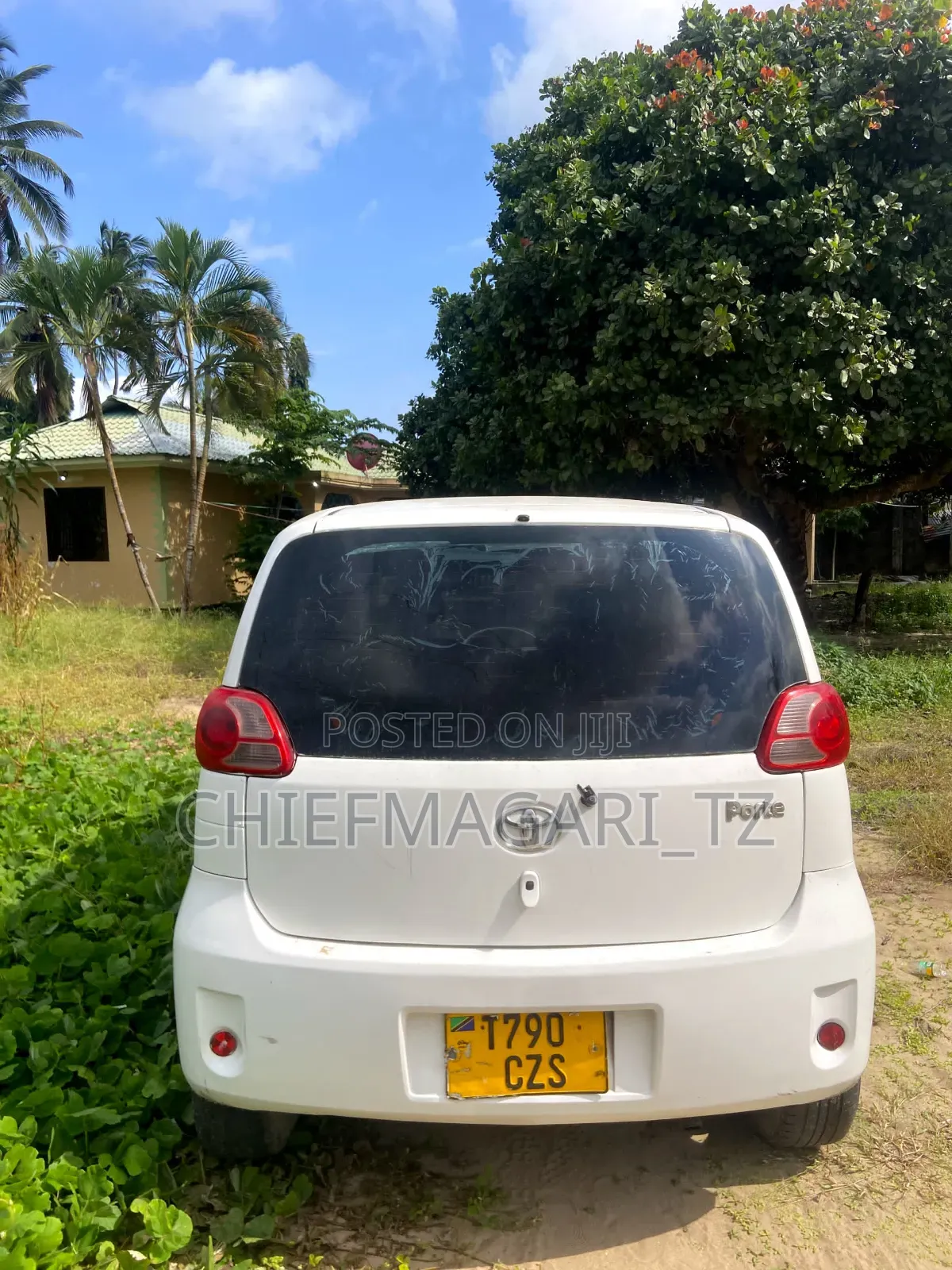 Toyota Porte 2004 Pearl