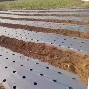 Bean Mulch Film
