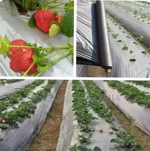 Strawberry Mulch Film