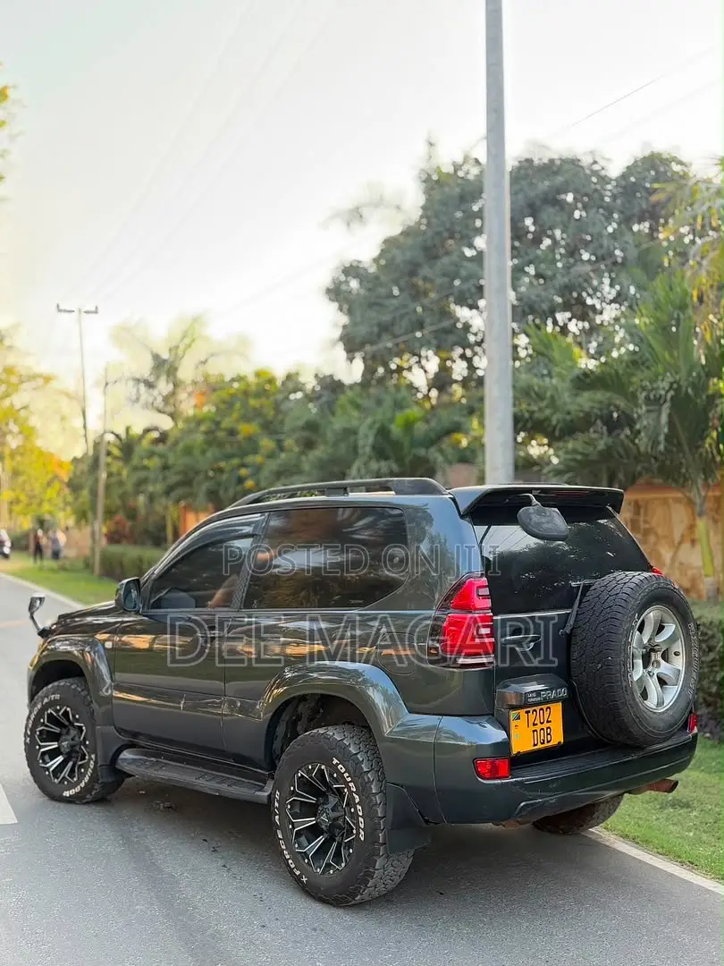 Toyota Land Cruiser Prado 2004 Gray