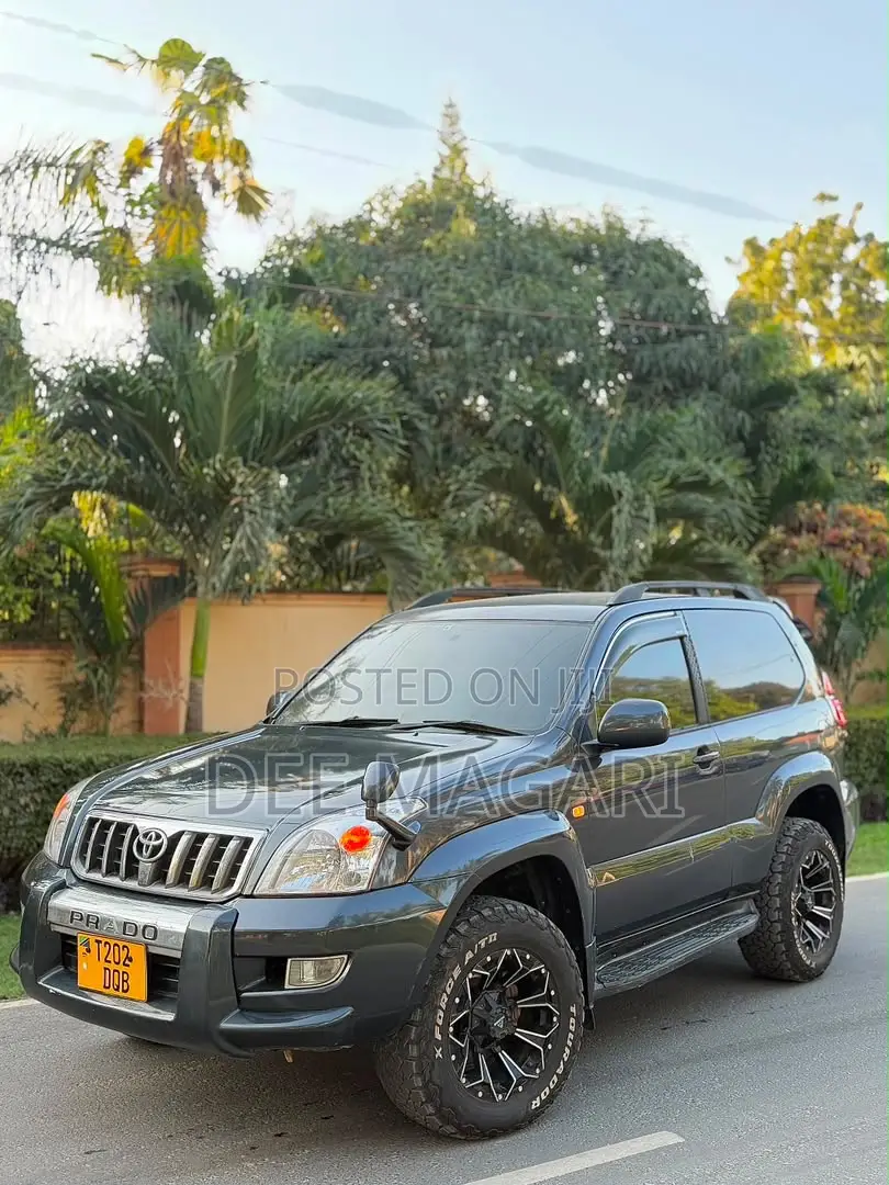 Toyota Land Cruiser Prado 2004 Gray