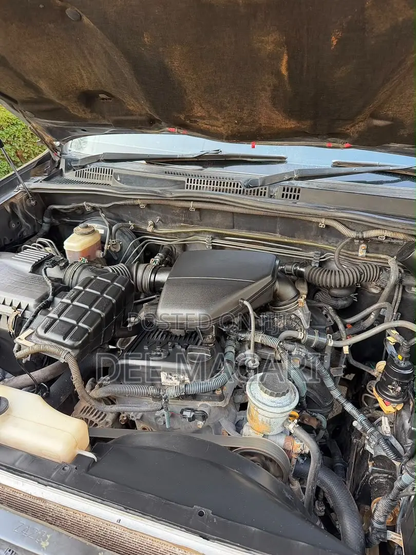 Toyota Land Cruiser Prado 2004 Gray