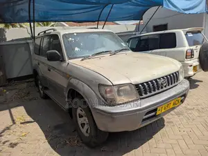 Toyota Land Cruiser Prado 2002 Silver