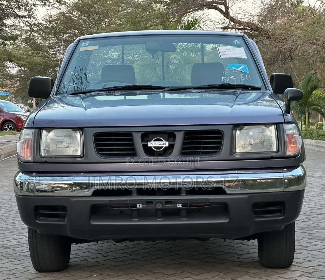 Nissan Pick-Up 2001 Purple