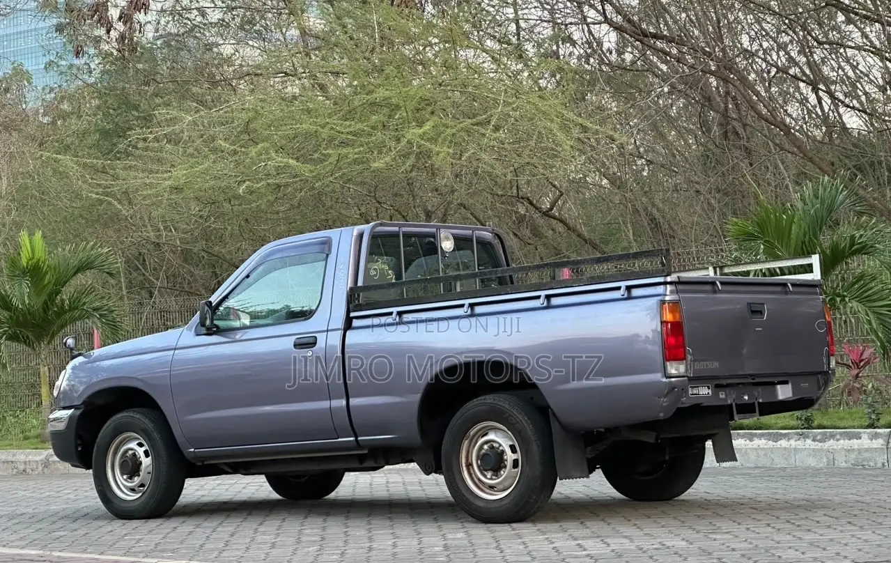 Nissan Pick-Up 2001 Purple