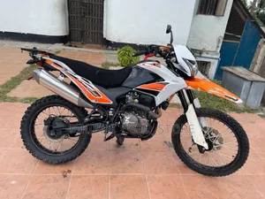 Big Dog 2024 Black