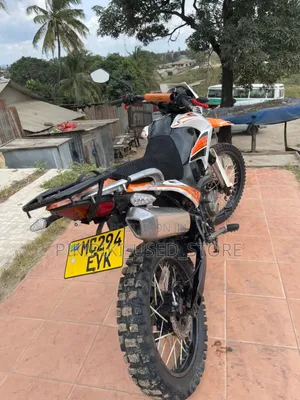 Big Dog 2024 Black