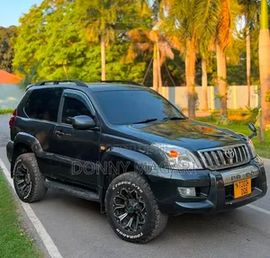 Toyota Land Cruiser Prado 2004 Gray
