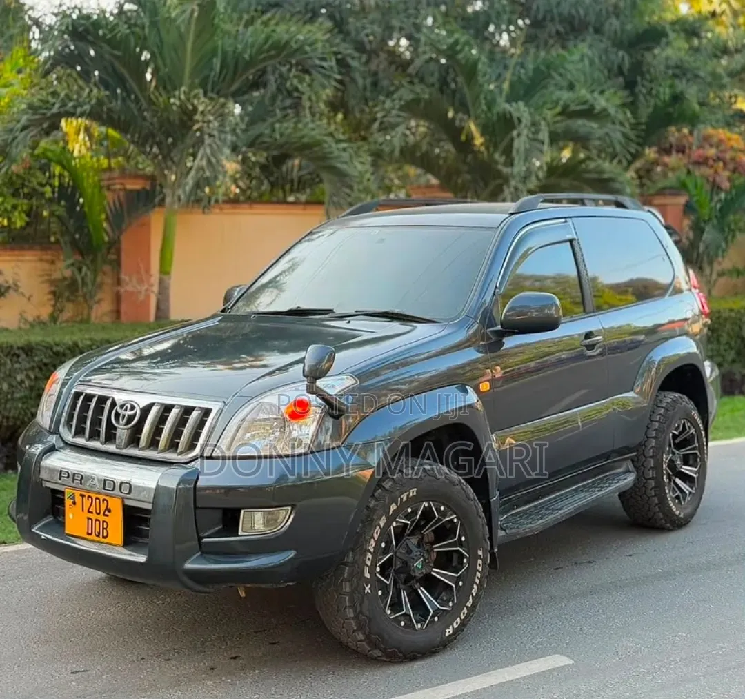Toyota Land Cruiser Prado 2004 Gray