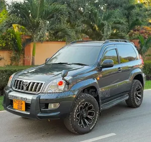 Toyota Land Cruiser Prado 2004 Gray