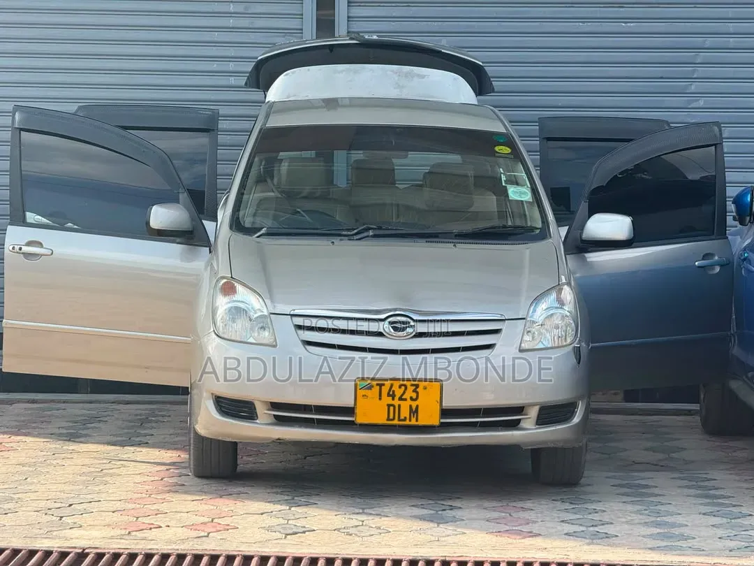 Toyota Raum 2010 Silver