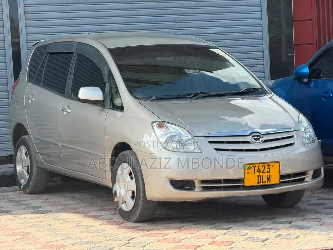 Toyota Raum 2010 Silver