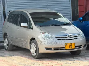 Toyota Raum 2010 Silver