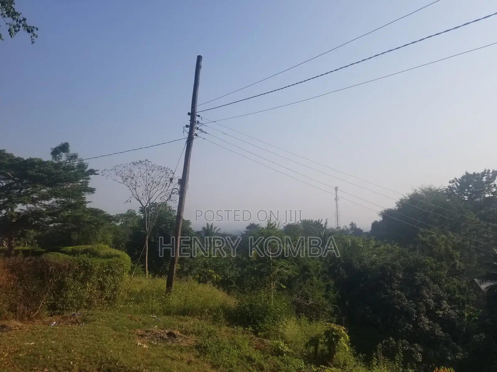 Plot for Sale