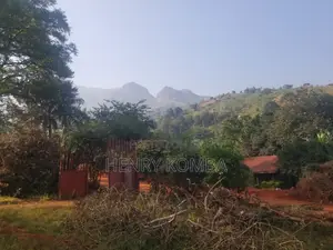 Plot for Sale