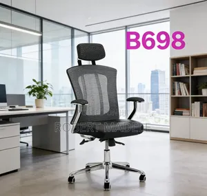 Ergonomic Office Chairs