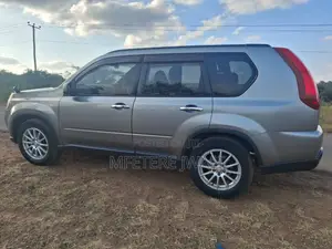 Nissan X-Trail 2010 Gray