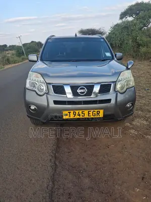 Nissan X-Trail 2010 Gray