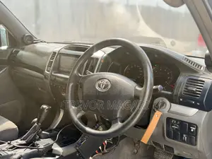 Toyota Land Cruiser Prado 2004 Gray