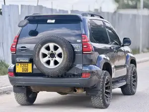 Toyota Land Cruiser Prado 2004 Gray